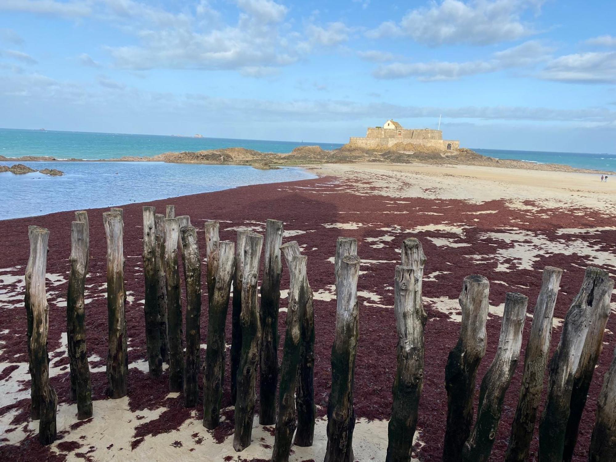 Maison Baie Du Mont Saint-Michel Cherrueix Kültér fotó